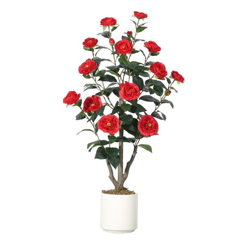 Arrangement