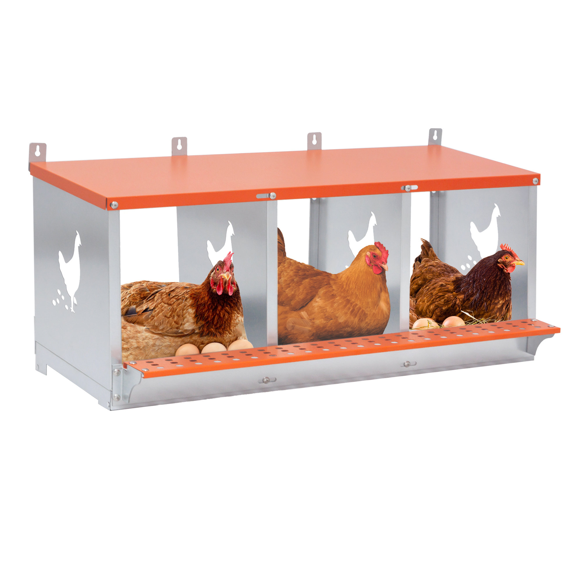 17 Stories 3-Bay Metal Nest Box-Wall Mount For Hens/Ducks, Easy Egg ...