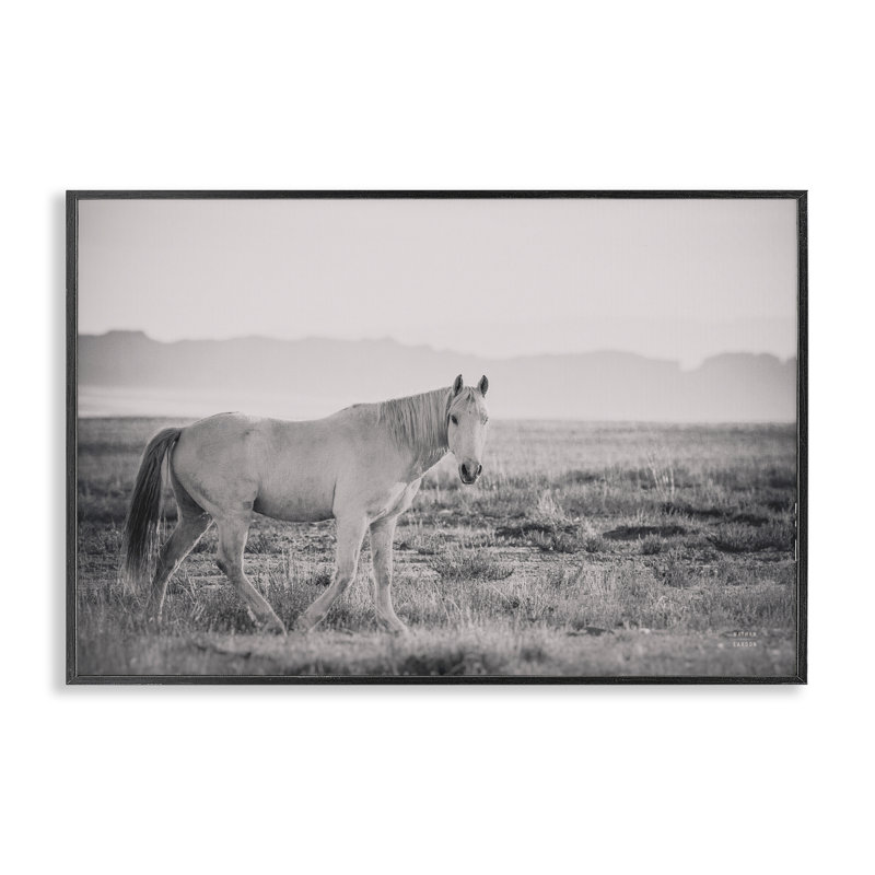 Giclée encadrée «Quiet Atmosphere with Horse» par Nathan Larson, H 16 po x l 24 po, Giclée encadrée noir minuit