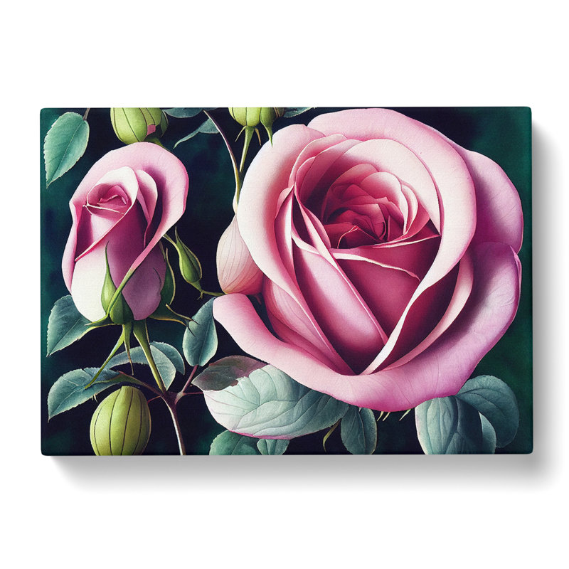 Grand Rose Flowers - Wrapped Canvas, 35cm H x 50cm W x 3cm D