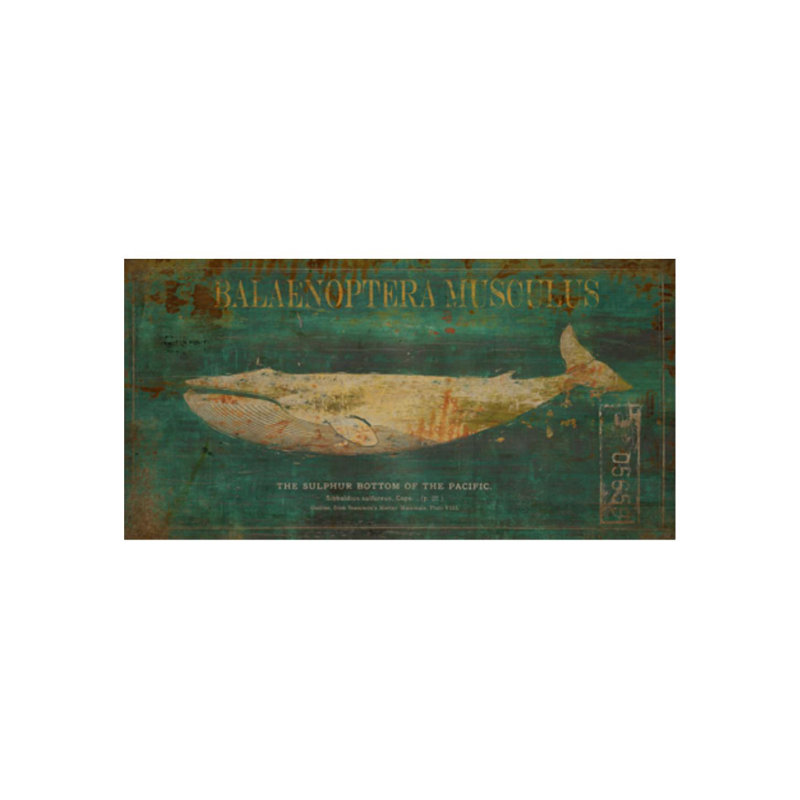 Balaenoptera Musculus Print by Sofia Fox, Outdoor, 27" H x 54" W