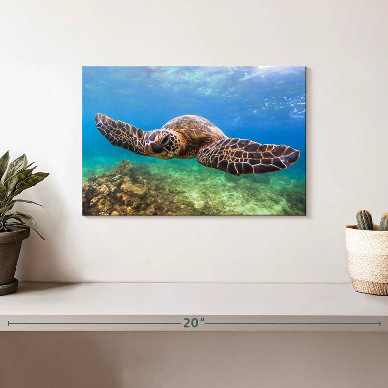 Crowle Flapping Turtle, 8" H x 12" W