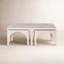 Amara Nesting Coffee Table-1023060432