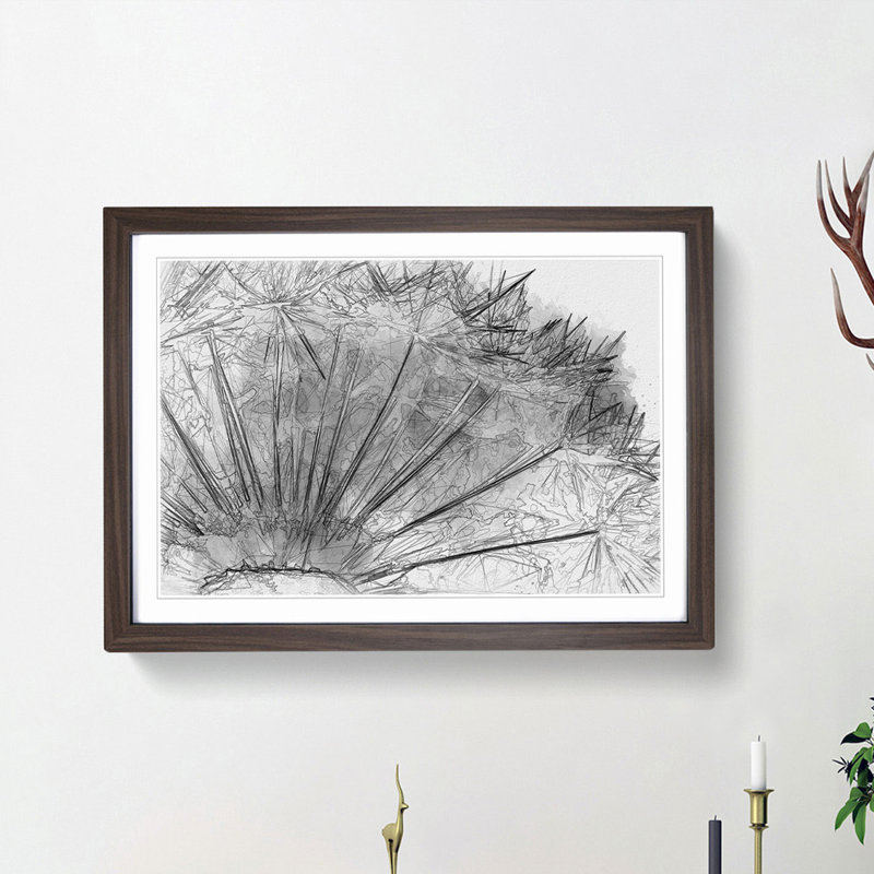Dandelion Seed Sketch in Abstract - Picture Frame Graphic Art Print, 48cm H x 65cm W x 2cm D, Walnut Framed