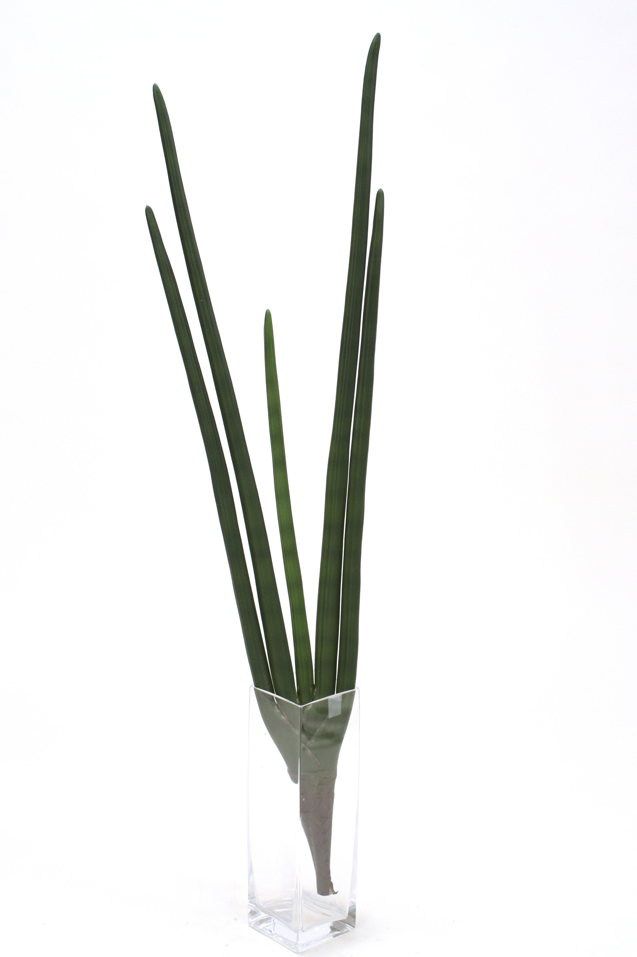 Primrue 39'' Faux Snake Plant Branch Wayfair