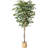 72'' Faux Fir Plant