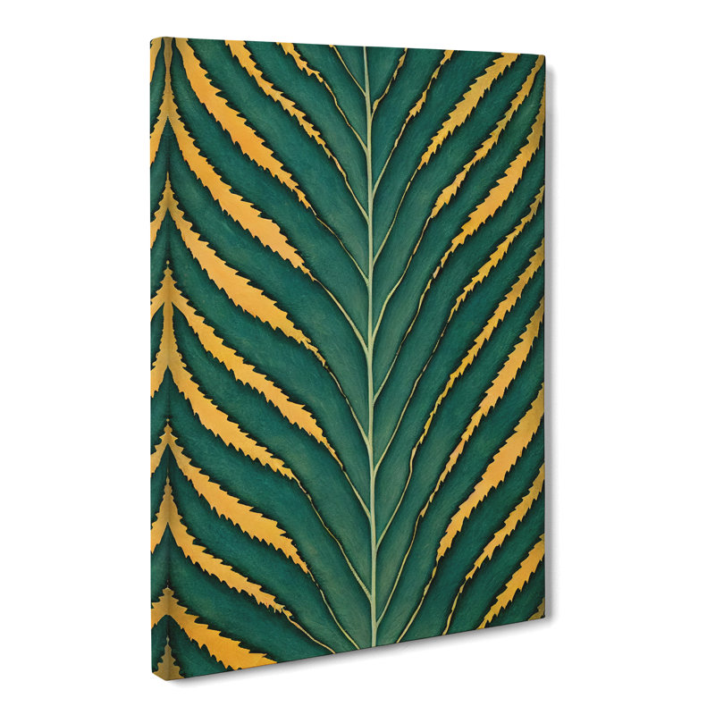 Croce Fern Leaf Avant Garde - Wrapped Canvas Print, 50cm H x 35cm W x 3cm D