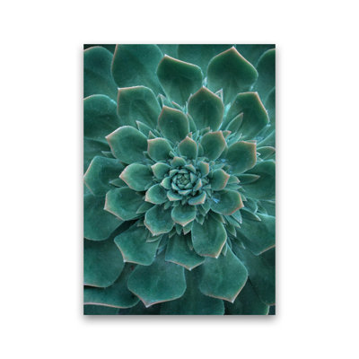 Green Succulent Plant 1 Piece Wall Art