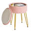 Ahilan Metal Accent Stool-2033349364