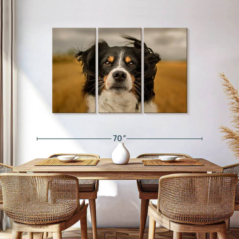Brampt Expressive Border Collie, 36" H x 57" W