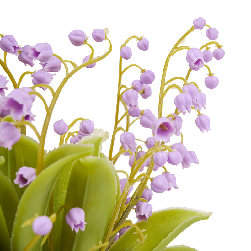 Muguet dans une boîte en bois, Mauve