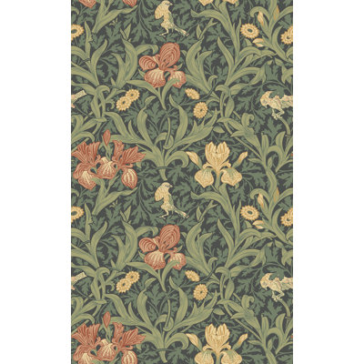 Iris Plum Wild Gardens Wallpaper
