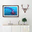 Pink and Blue Jellyfish - Picture Frame Graphic Art Print-56704519-56704518