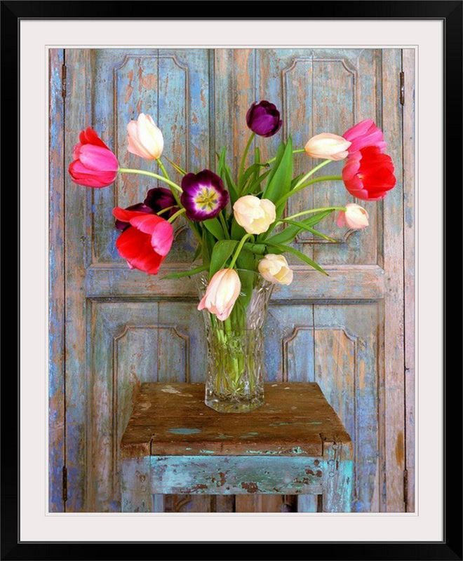 «Tulips, Mexico» par Alan Klug, reproduction de photo, Cadre noir, H 28 po x l 24 po x P 1 po