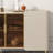 Light Luxury Minimalist Premium Storage Cabinet