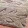 Chanhassen Shag Performance Floral Rug