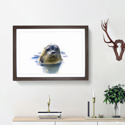 Grey Seal - Framed Print