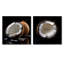 Ensemble de 2 collages carrés fruits minuit noir contrastant-701496451-701496448