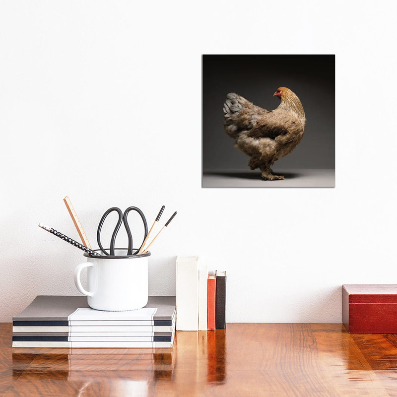 Brahma by CHICken - Wrapped Canvas Print, 30.48 cm H x 30.48 cm W