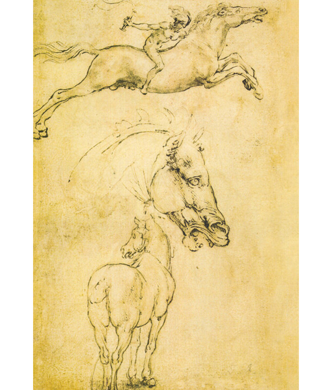 Esquisse d'un cheval, H 18 po x l 12 po