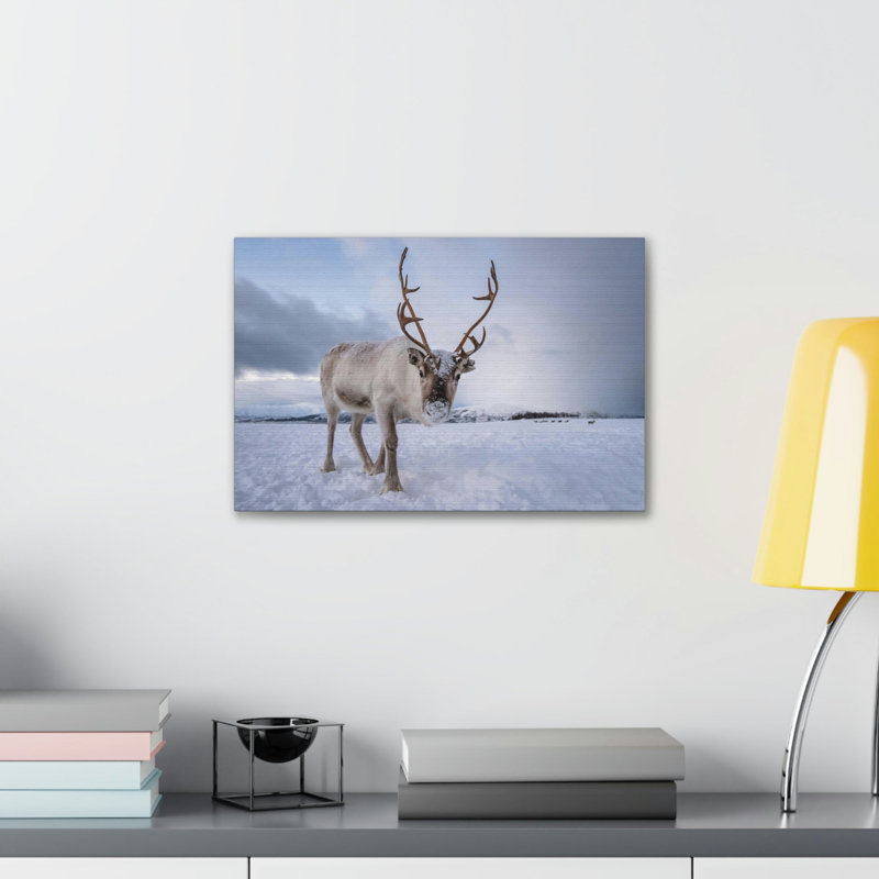 No Frame Print on Canvas, 12cm H x 16cm W
