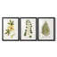 Nature Printed Botanicals douzième-257825202-257825212
