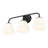 Dorinda 3-Light Vanity Light in Matte Black with Opal Glass-161744256