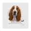 Basset hound-impression d’art graphique sur toile tendue-26852960