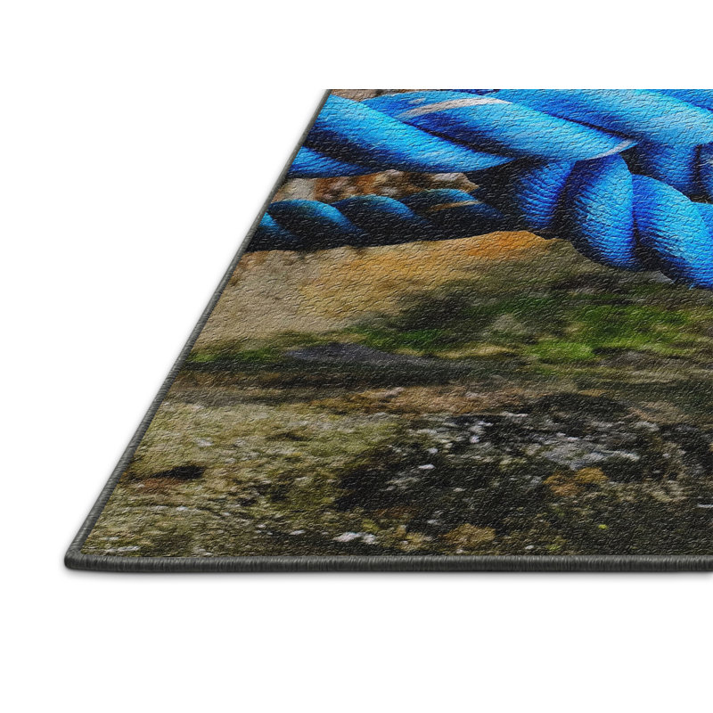 Tapis bleu corde, Rectangle 2 pi x 5 pi
