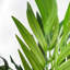 Anivea 140cm Faux Mango Tree in Pot