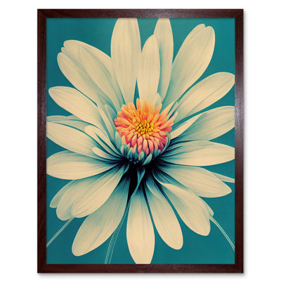 Chrysanthemum Floral Bloom Macro Flower - Print
