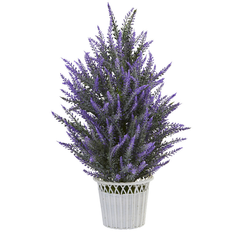 Arrangement floral lavande dans un pot de fleurs