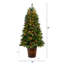 Arbre de Noël épinette vert 5 pi avec 200 lumières DEL