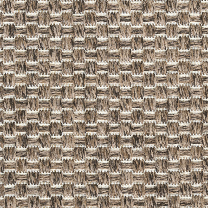 Tulum Solid Indoor/Outdoor Area Rug, Rectangle 4' x 6', Brown