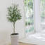 180 cm H Faux Plant