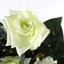 90cm Artificial Flowering Plant in Planter