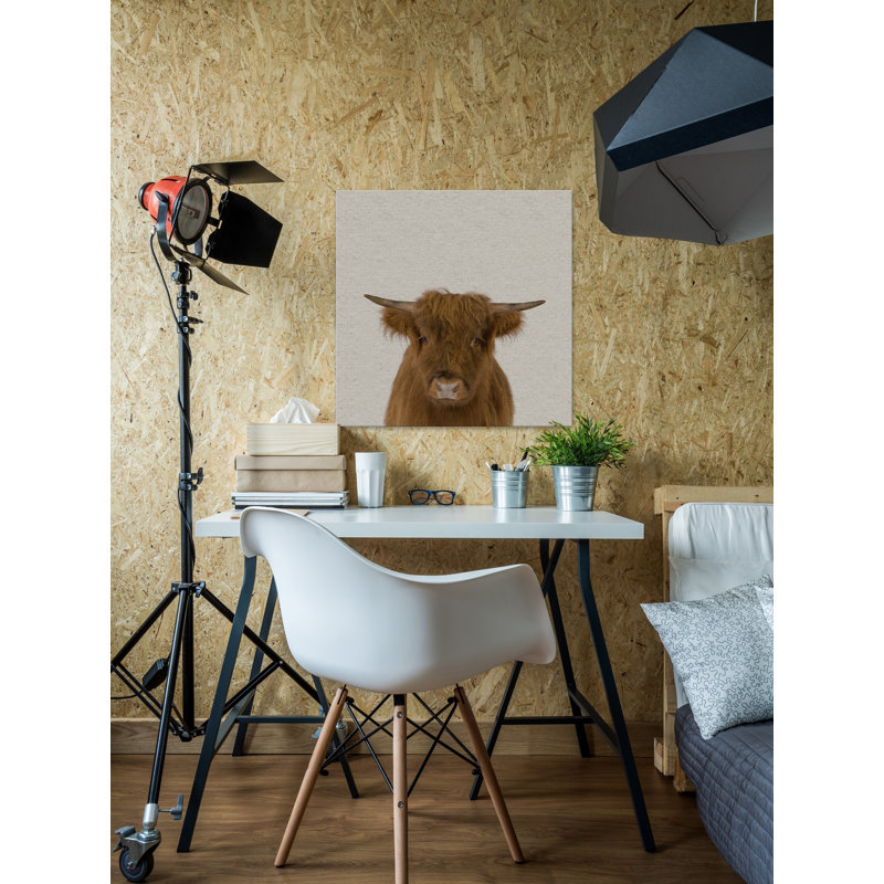 Sleepy Buffalo - Drawing on Canvas, 30cm H x 30cm W