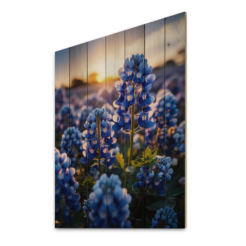Bluebonnets Flower Blissful II - impression florale et botanique sur bois de pin naturel, H 40 po x l 30 po x P 0,78 po