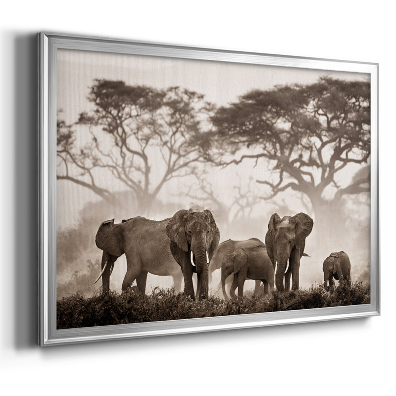 " Amboseli National Park ", Silver, 26" H x 38" W x 1.5" D