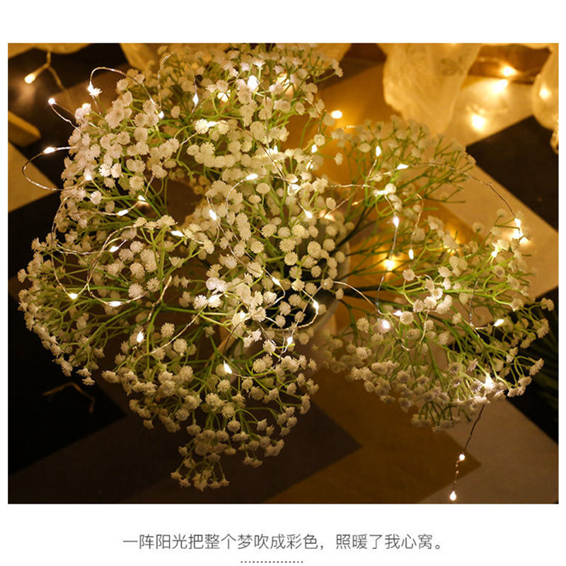 Deonie 20 - Bulb 86.4'' Battery Powered LED Fairy String Light, Cold White