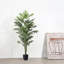Ronessa 160cm Lifelike Plant: No Care & Year-Round Greenery