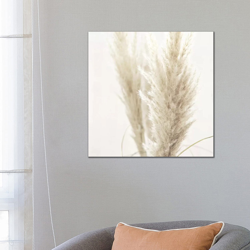Pampas Reed II Square 1 Piece Wrapped Canvas Wall Art, 66.04 cm H x 66.04 cm W x 3.175 cm D