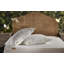 Memory Foam Medium Support Pillow