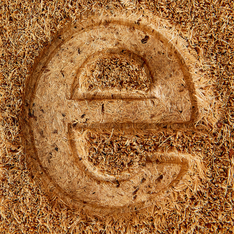 Galindo Non-Slip Outdoor Doormat