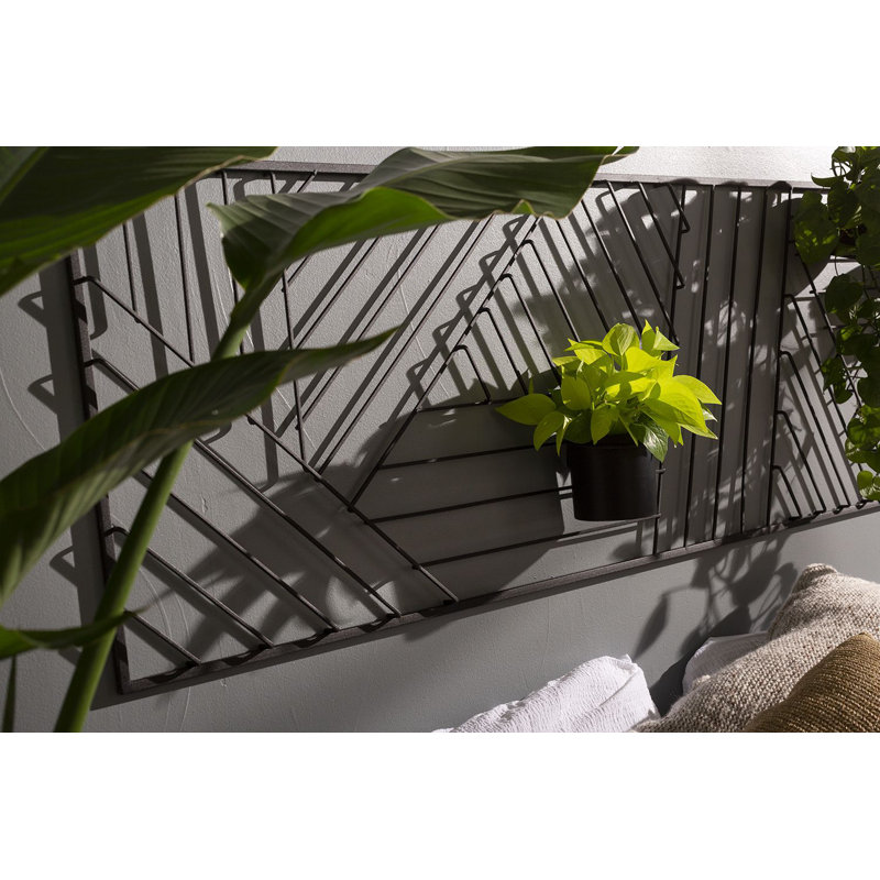 Aesthetic Trellis