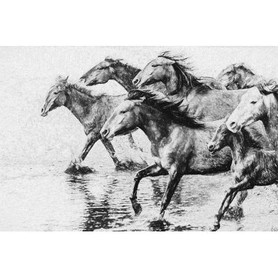 Anatolian Wild Horses 1 Piece Wrapped Canvas Wall Art