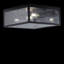 Burns Glass Flush Mount