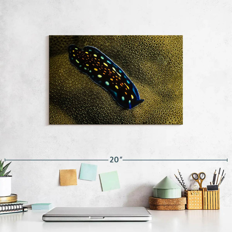 Linda's Flatworm, 8" H x 12" W