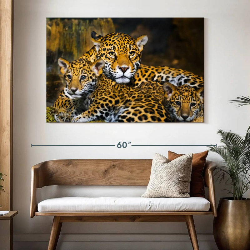 Bébé jaguar Brampt, H 34 po x l 51 po