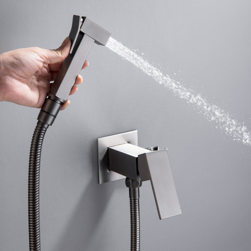 Elongated Wall Mount Bidet with Faucet, Brushed Gray
